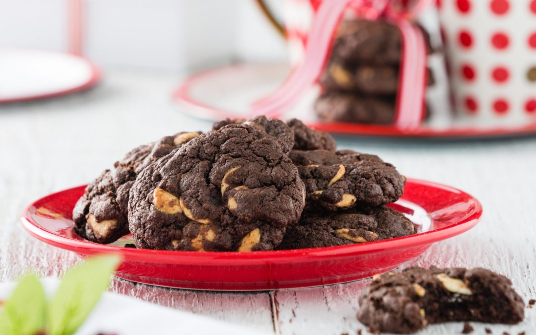 Hot Cocoa Cookies